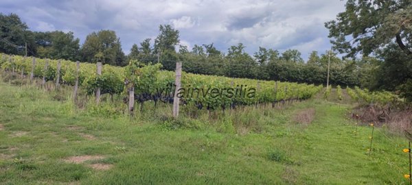 casa indipendente in vendita a Chiusdino