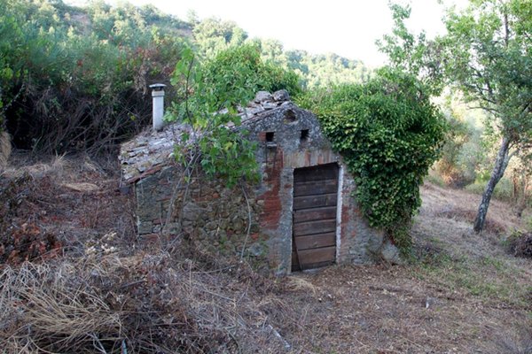 casale in vendita a Chiusdino