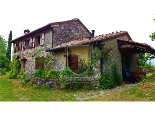 casa indipendente in vendita a Chiusdino in zona Ciciano