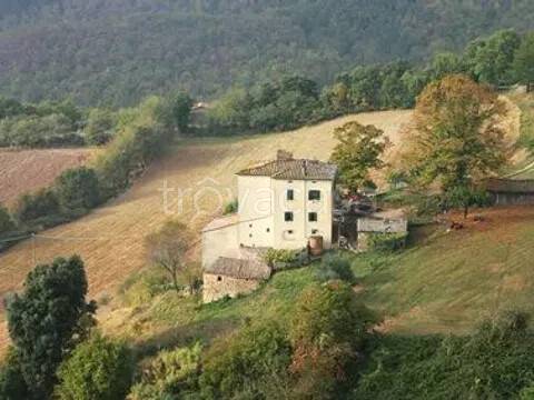 casa indipendente in vendita a Chiusdino