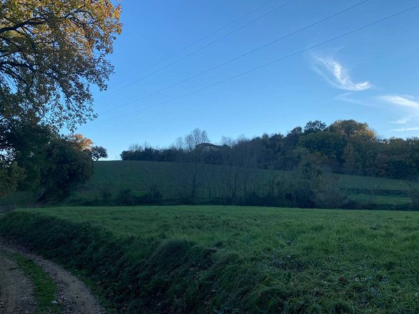 terreno agricolo in vendita a Chiusi