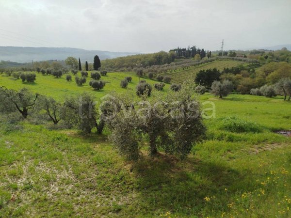 terreno agricolo in vendita a Chiusi in zona Chiusi Scalo