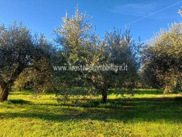 terreno agricolo in vendita a Chiusi