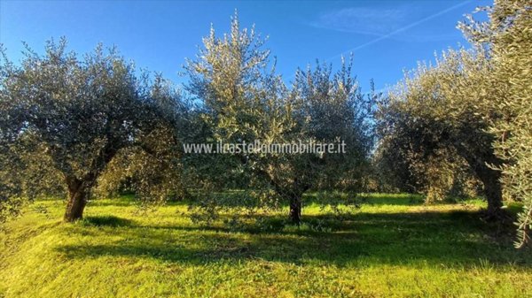terreno agricolo in vendita a Chiusi