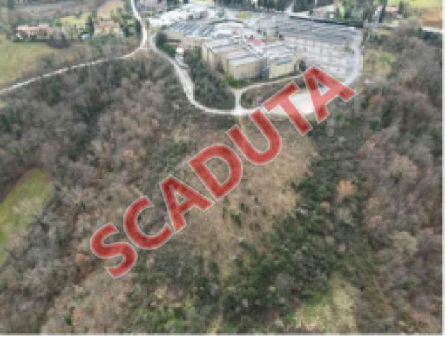 terreno agricolo in vendita a Chiusi in zona Querce al Pino