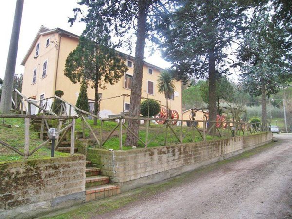 azienda agricola in vendita a Chiusi