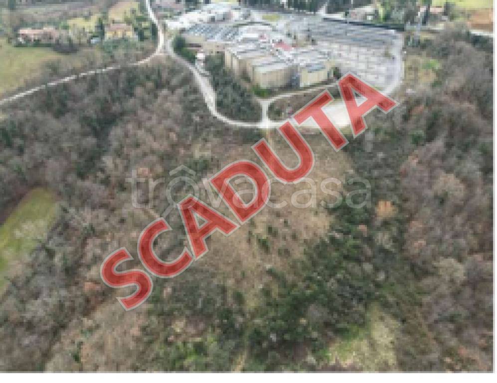 terreno agricolo in vendita a Chiusi in zona Querce al Pino