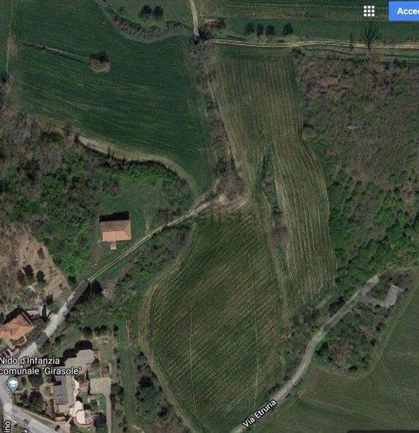 terreno agricolo in vendita a Chiusi