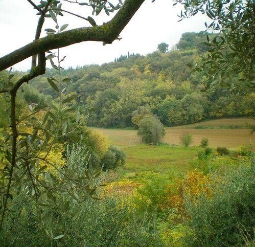 appartamento in vendita a Chiusi