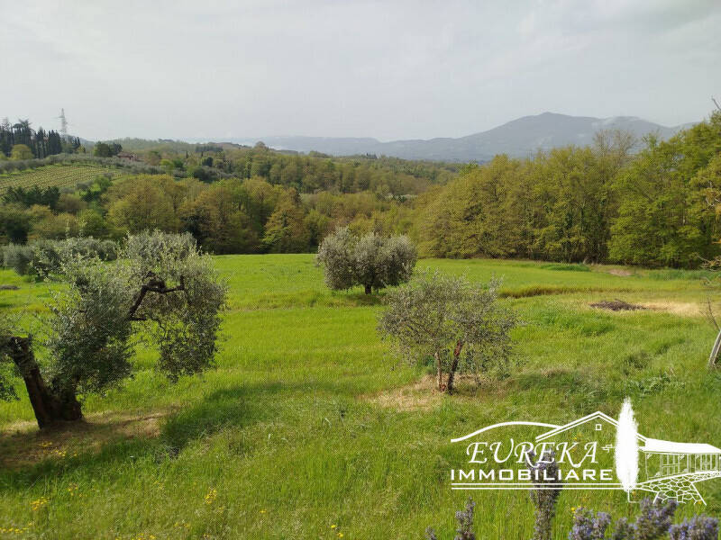 terreno agricolo in vendita a Chiusi