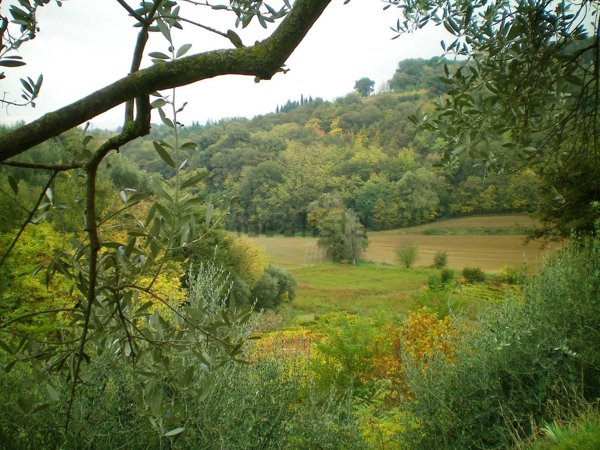 appartamento in vendita a Chiusi in zona Montallese