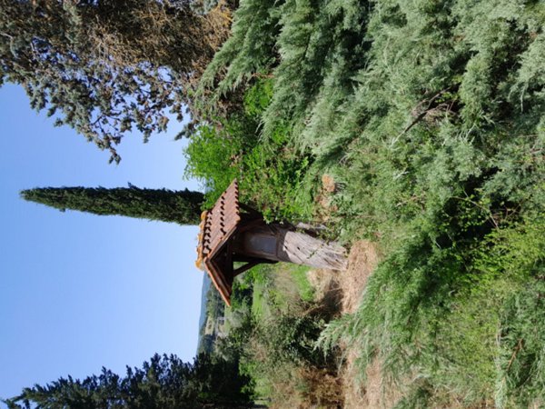 casa indipendente in vendita a Chiusi in zona Macciano