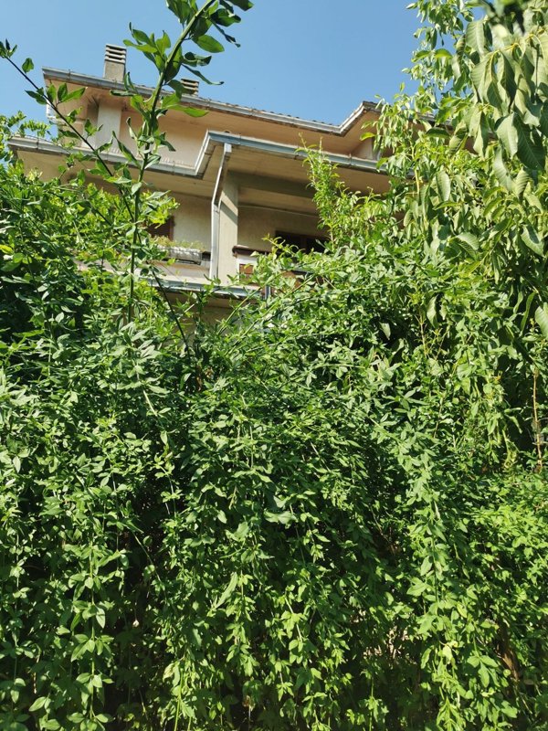 appartamento in vendita a Chiusi in zona Macciano