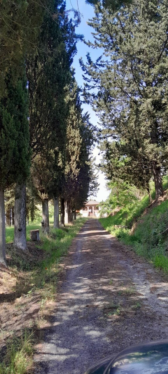 casale in vendita a Chiusi in zona Macciano