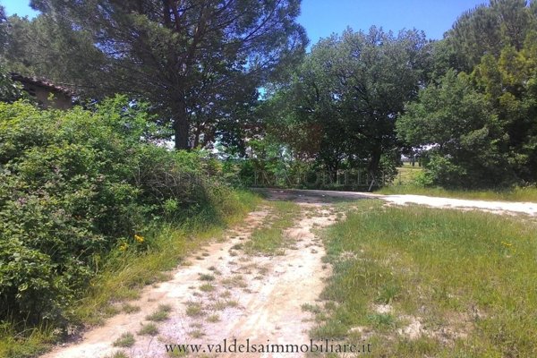 terreno agricolo in vendita a Colle di Val d'Elsa