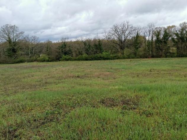 terreno agricolo in vendita a Colle di Val d'Elsa