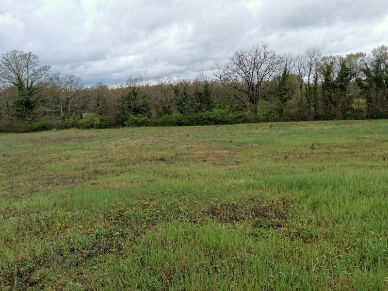 terreno agricolo in vendita a Colle di Val d'Elsa