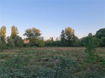 terreno agricolo in vendita a Colle di Val d'Elsa