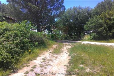 terreno agricolo in vendita a Colle di Val d'Elsa