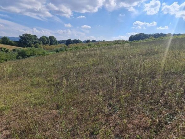 terreno agricolo in vendita a Colle di Val d'Elsa in zona Selvamaggio