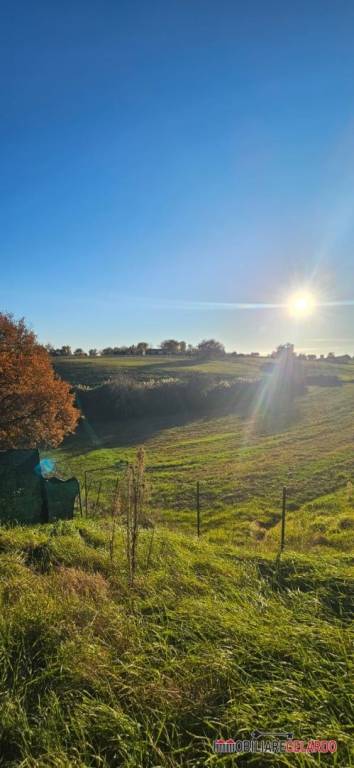 terreno agricolo in vendita a Colle di Val d'Elsa in zona Le grazie