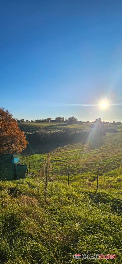 terreno agricolo in vendita a Colle di Val d'Elsa in zona Le grazie