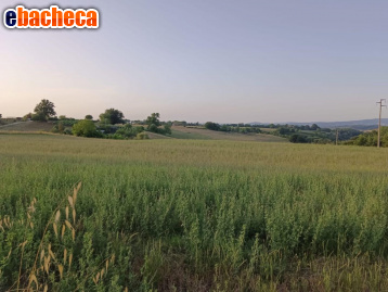 terreno agricolo in vendita a Colle di Val d'Elsa in zona Boscona