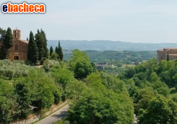 appartamento in vendita a Colle di Val d'Elsa