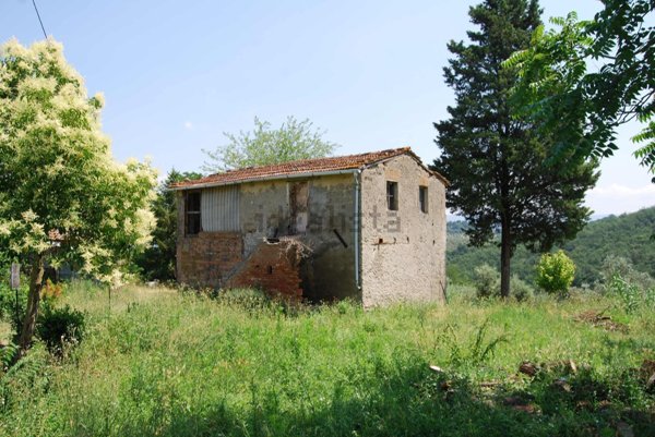 pentavano in vendita a Colle di Val d'Elsa