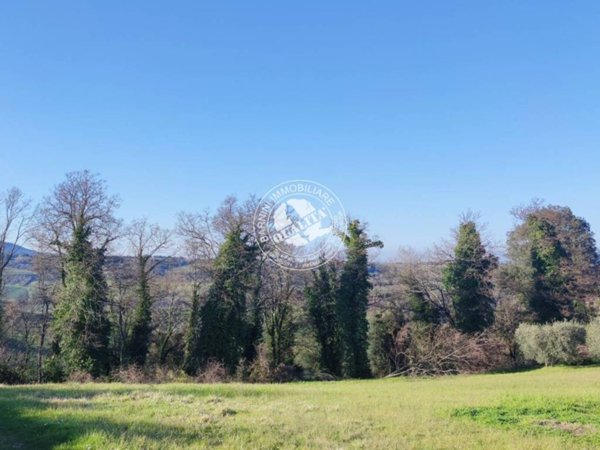 terreno agricolo in vendita a Colle di Val d'Elsa