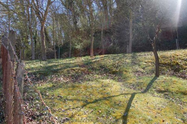 terreno agricolo in vendita a Colle di Val d'Elsa