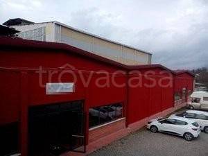 locale commerciale in vendita a Colle di Val d'Elsa