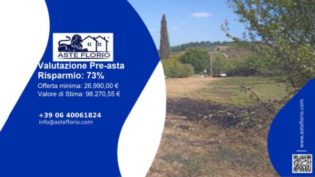 terreno agricolo in vendita a Colle di Val d'Elsa