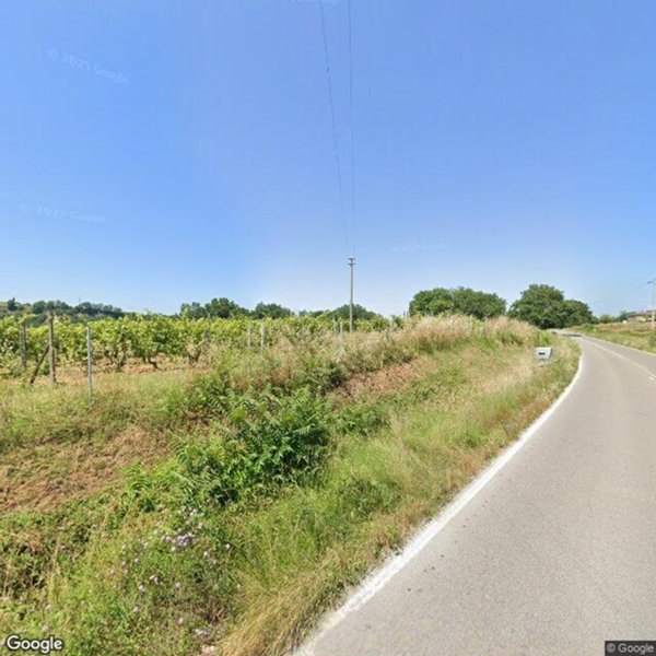 terreno agricolo in vendita a Colle di Val d'Elsa
