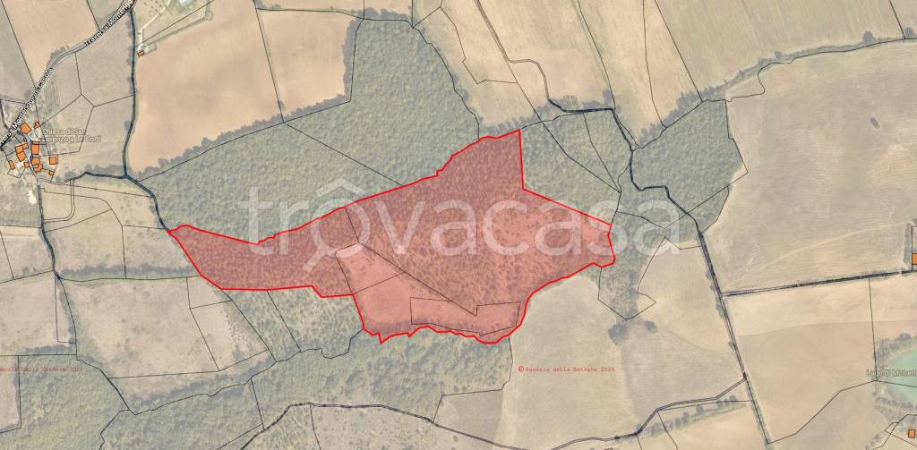 terreno agricolo in vendita a Colle di Val d'Elsa