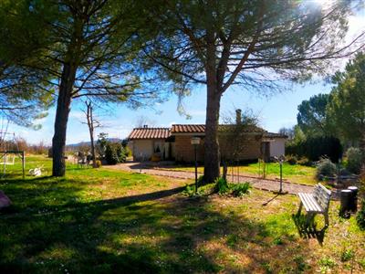 azienda agricola in vendita a Colle di Val d'Elsa