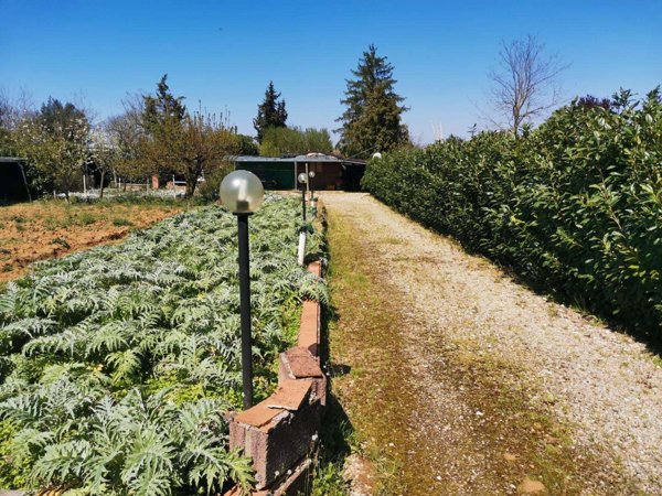 terreno agricolo in vendita a Colle di Val d'Elsa