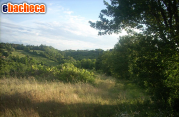 terreno agricolo in vendita a Colle di Val d'Elsa