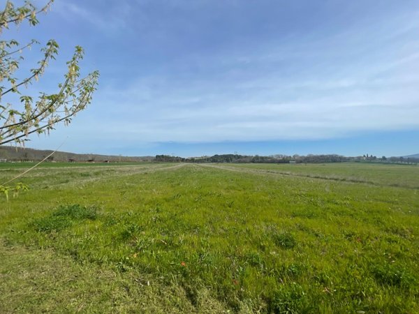 casa indipendente in vendita a Colle di Val d'Elsa