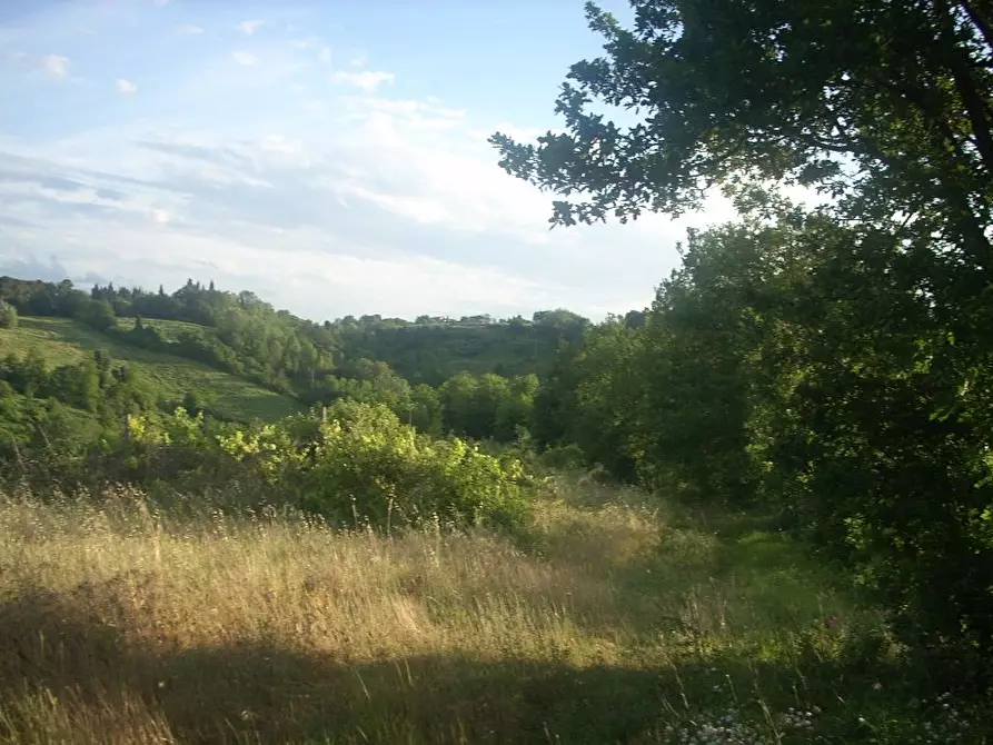 terreno agricolo in vendita a Colle di Val d'Elsa