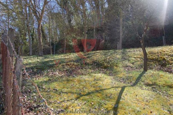 terreno agricolo in vendita a Colle di Val d'Elsa