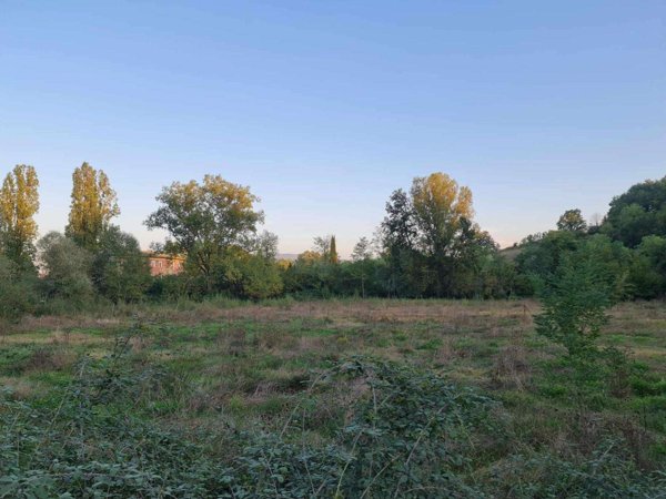 terreno agricolo in vendita a Colle di Val d'Elsa in zona Selvamaggio