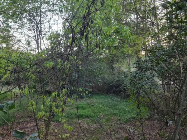 terreno agricolo in vendita a Colle di Val d'Elsa in zona Selvamaggio