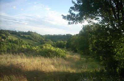 terreno agricolo in vendita a Colle di Val d'Elsa