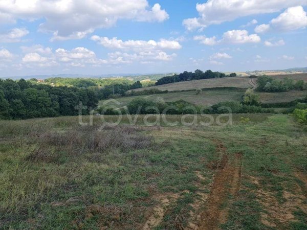 terreno agricolo in vendita a Colle di Val d'Elsa