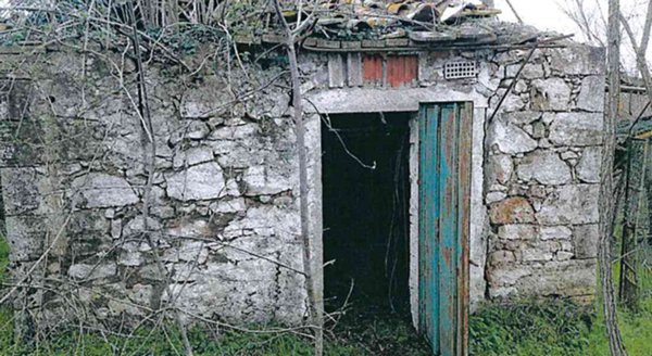 immagine annuncio 0 di 10