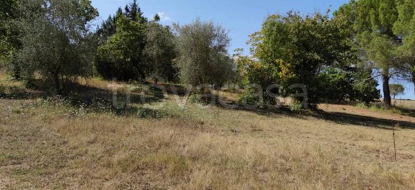 terreno agricolo in vendita a Colle di Val d'Elsa