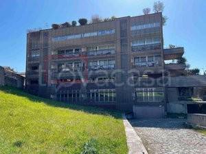 appartamento in vendita a Colle di Val d'Elsa