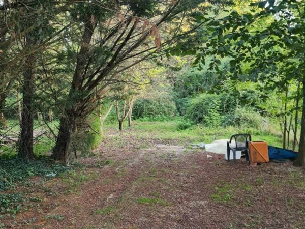 terreno agricolo in vendita a Colle di Val d'Elsa in zona Selvamaggio