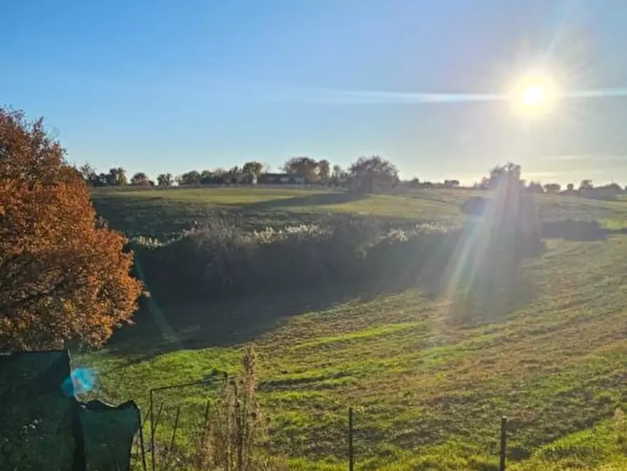 terreno agricolo in vendita a Colle di Val d'Elsa in zona Le grazie